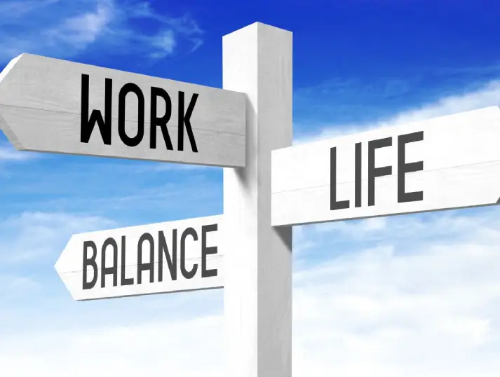 Work-Life Balance Icon
